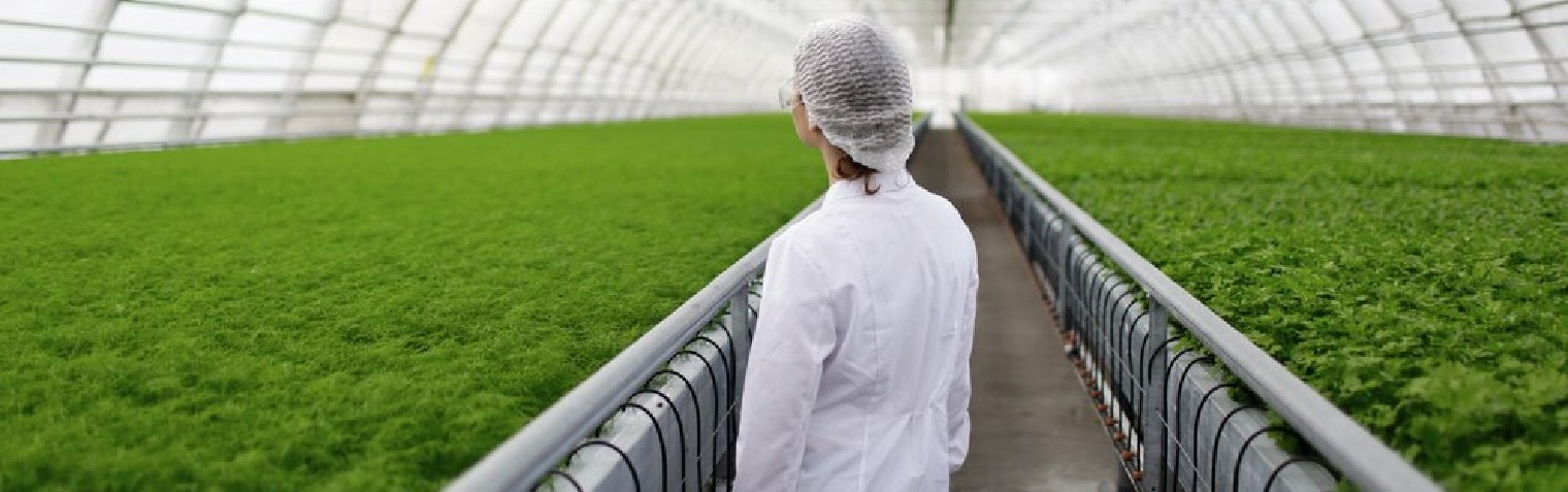 rb88随行版-rb88手机随行版登录入口