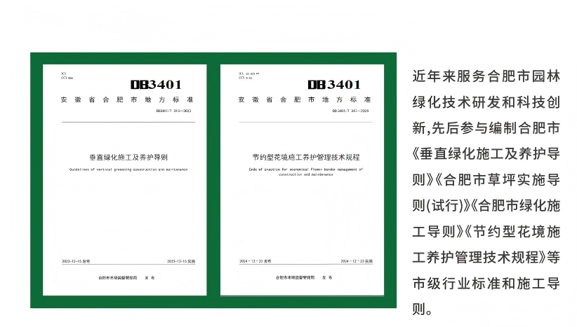 S36沙龙会 - 要玩就玩沙龙会