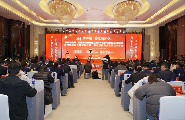 S36沙龙会 - 要玩就玩沙龙会