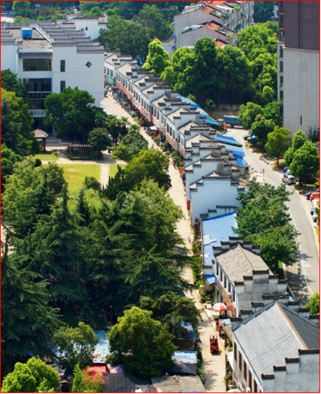 1770866932396 S36沙龙会 - 要玩就玩沙龙会