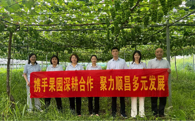 S36沙龙会 - 要玩就玩沙龙会