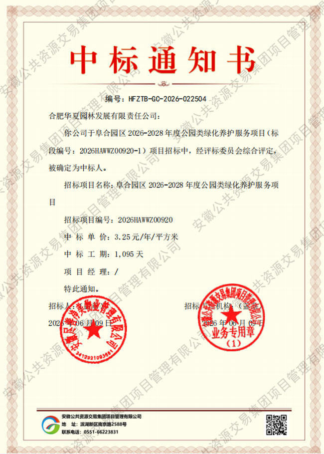 S36沙龙会 - 要玩就玩沙龙会