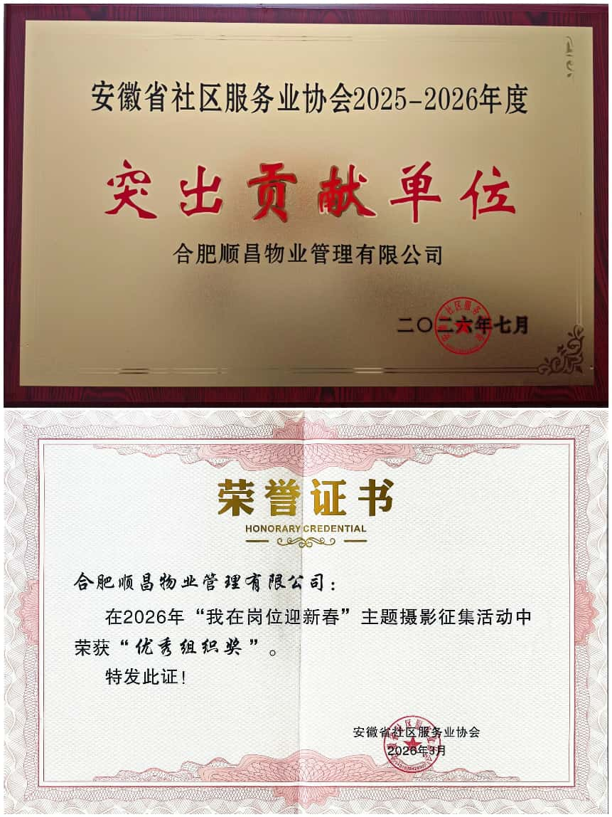 图片12