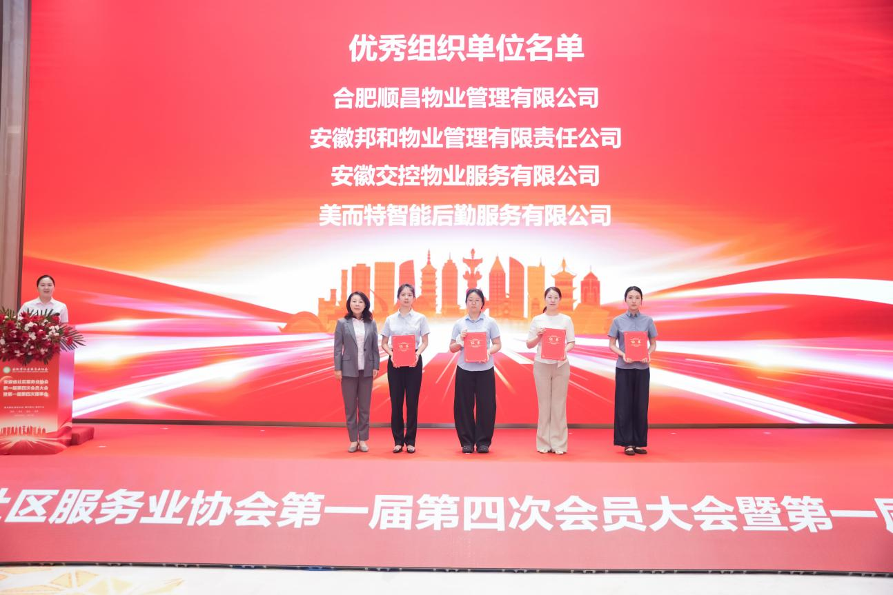 图片15