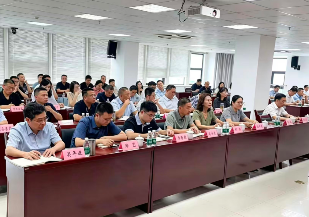 图片11