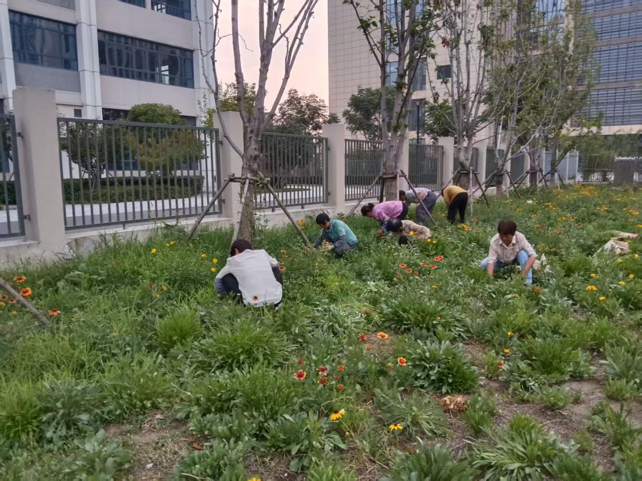 S36沙龙会 - 要玩就玩沙龙会
