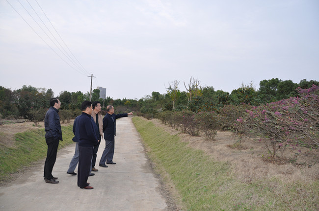 20151103112449_8906 S36沙龙会 - 要玩就玩沙龙会