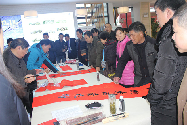 S36沙龙会 - 要玩就玩沙龙会