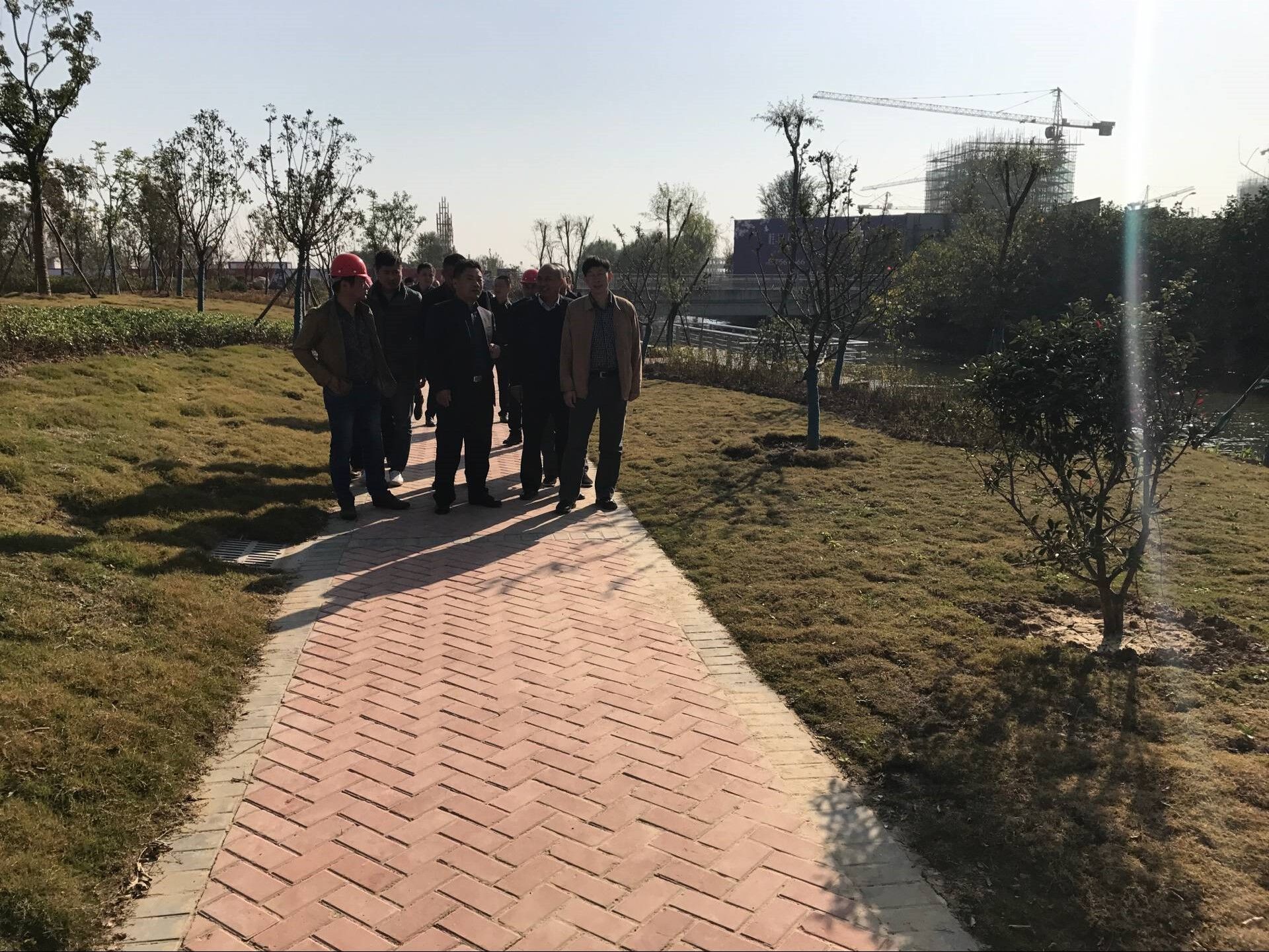 S36沙龙会 - 要玩就玩沙龙会
