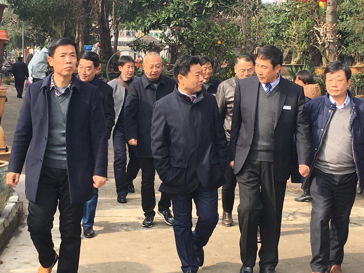 S36沙龙会 - 要玩就玩沙龙会
