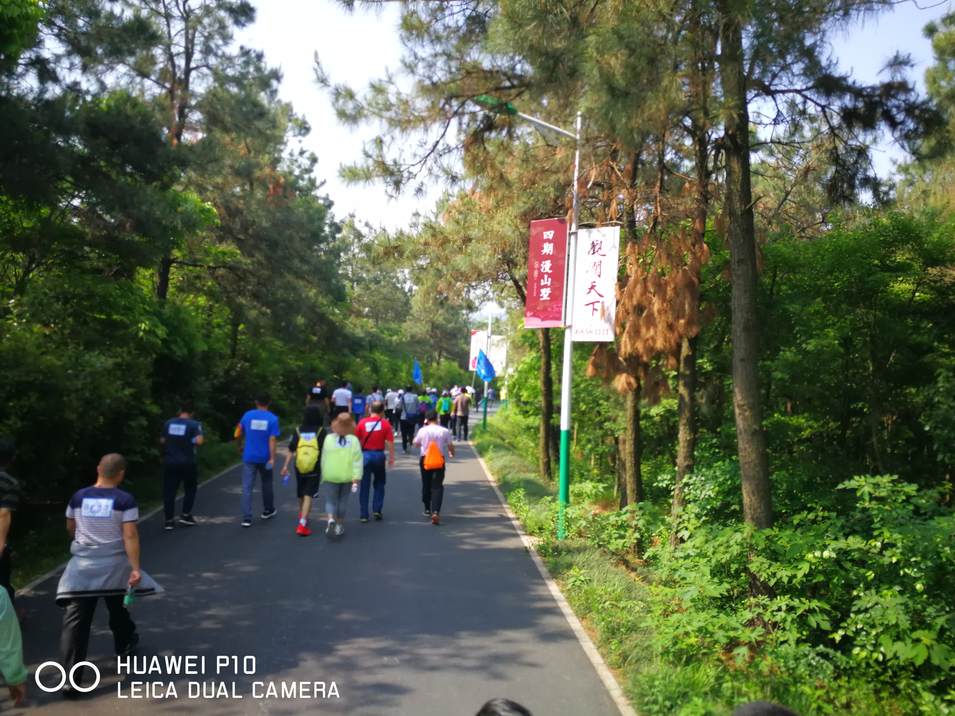S36沙龙会 - 要玩就玩沙龙会