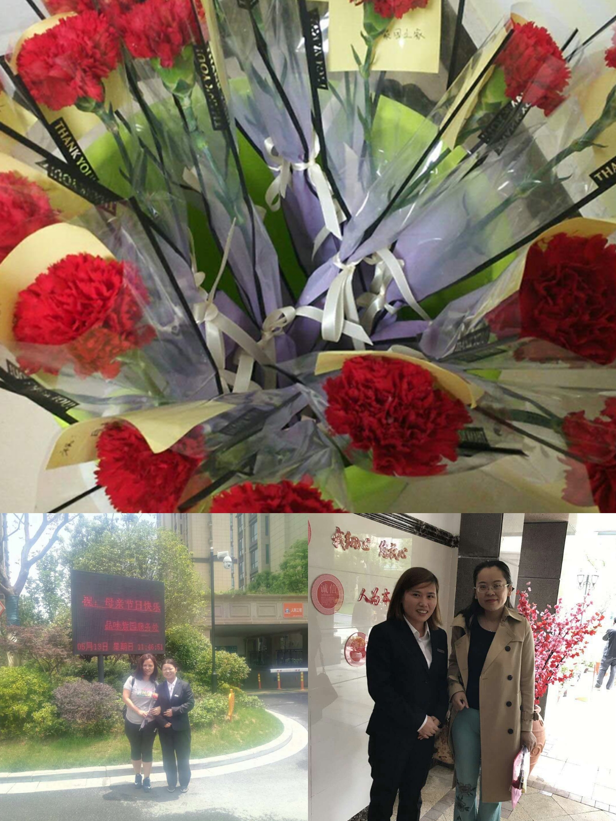 S36沙龙会 - 要玩就玩沙龙会