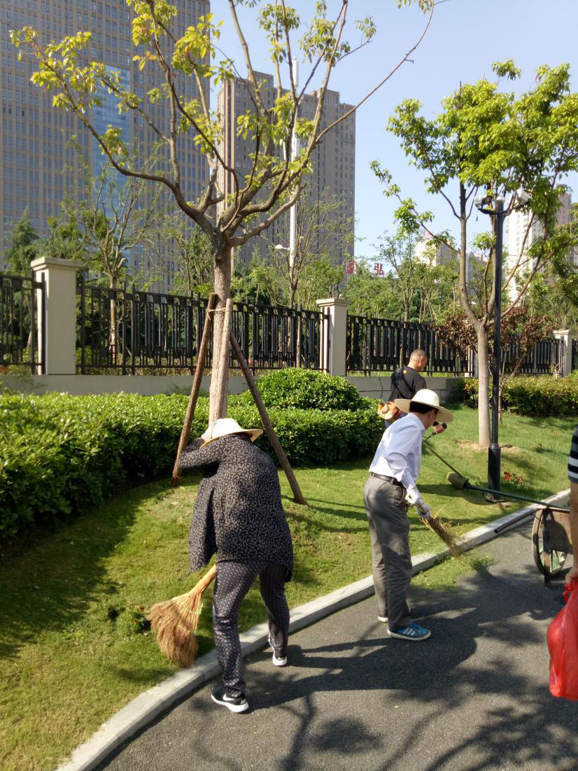 S36沙龙会 - 要玩就玩沙龙会
