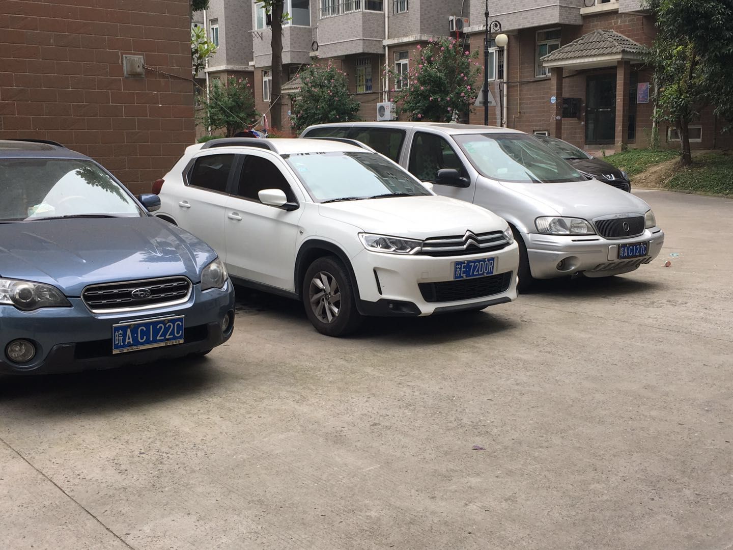 S36沙龙会 - 要玩就玩沙龙会