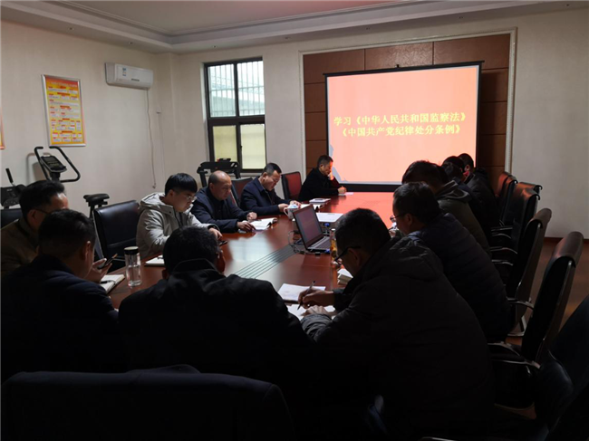 20201126163202_8122 S36沙龙会 - 要玩就玩沙龙会