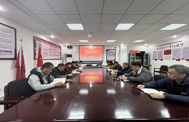S36沙龙会 - 要玩就玩沙龙会