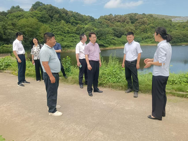 20250723171731_6010 S36沙龙会 - 要玩就玩沙龙会