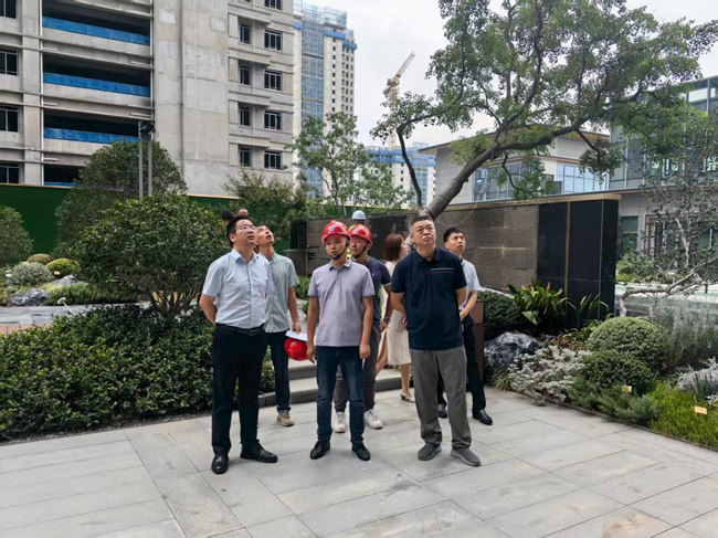 S36沙龙会 - 要玩就玩沙龙会