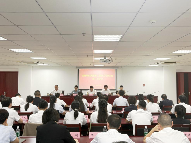 S36沙龙会 - 要玩就玩沙龙会